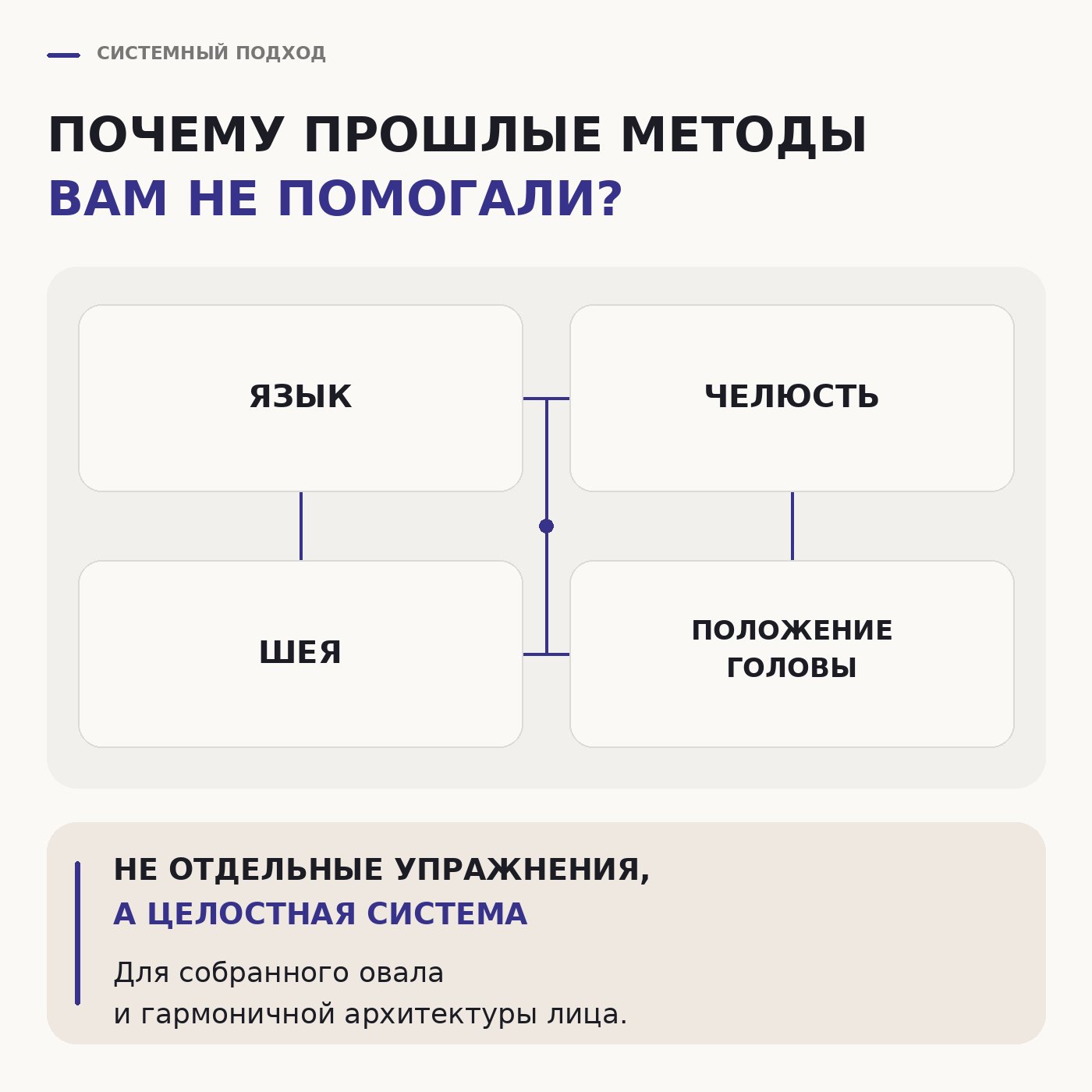 ЧЕЛЮСТЬ. Опоры лица - 4